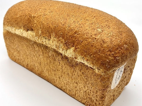 Brood